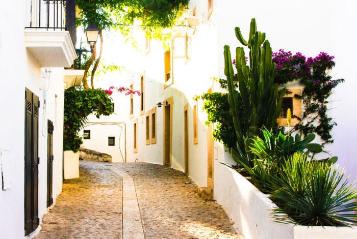 Disfruta de Ibiza de la mano de las mejores chicas de compañía